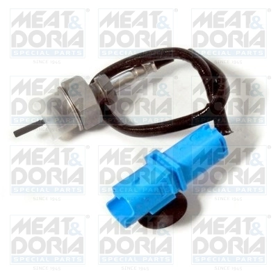 Sensor, exhaust gas temperature